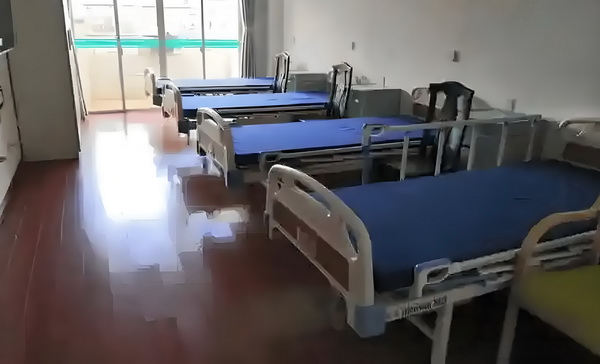 薇薇安的异界人生